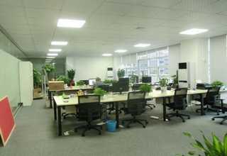 北京剪股颖草坪哪里买